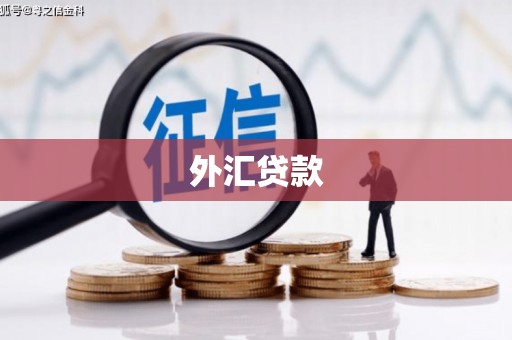 浮山外汇贷款