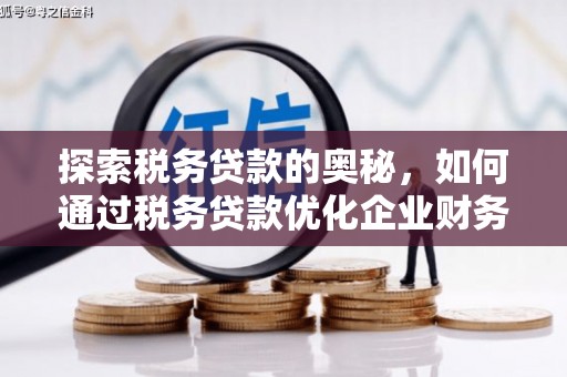 浮山探索税务贷款的奥秘，如何通过税务贷款优化企业财务