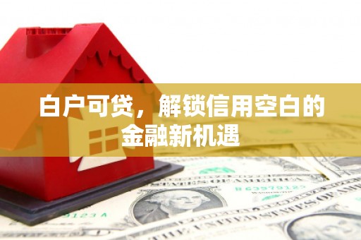 浮山白户可贷，解锁信用空白的金融新机遇