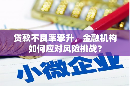 浮山贷款不良率攀升，金融机构如何应对风险挑战？