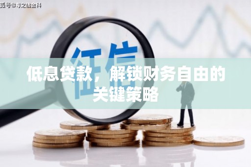 浮山低息贷款，解锁财务自由的关键策略