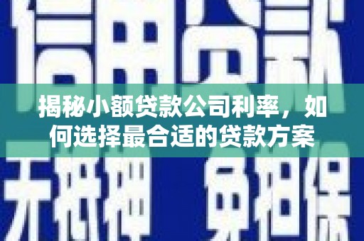 浮山揭秘小额贷款公司利率，如何选择最合适的贷款方案