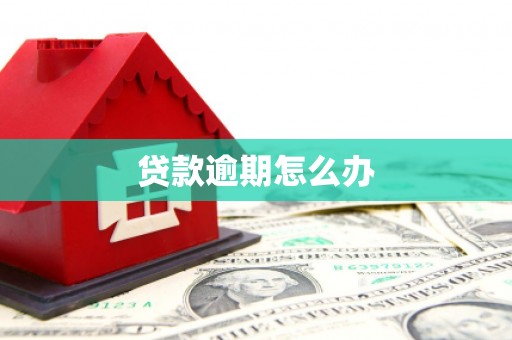 浮山贷款逾期怎么办