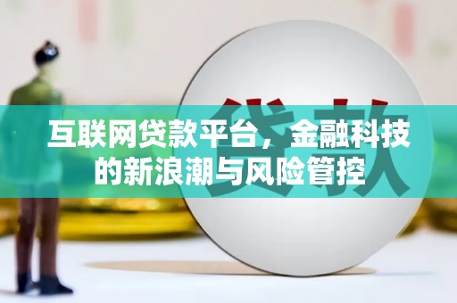 浮山互联网贷款平台，金融科技的新浪潮与风险管控
