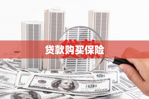 浮山贷款购买保险