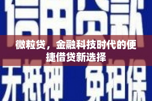 浮山微粒贷，金融科技时代的便捷借贷新选择