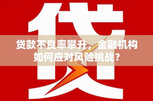 浮山贷款不良率攀升，金融机构如何应对风险挑战？