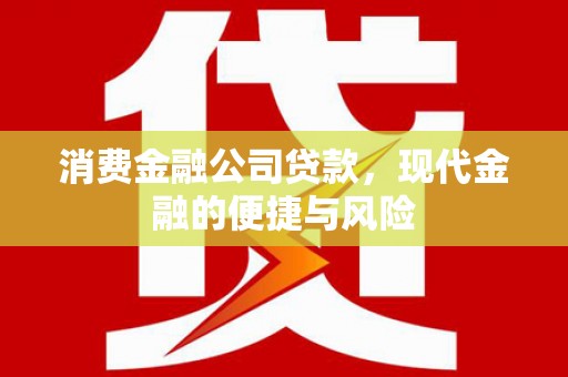 浮山消费金融公司贷款，现代金融的便捷与风险