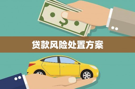 浮山贷款风险处置方案