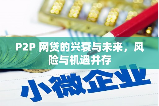 浮山P2P 网贷的兴衰与未来，风险与机遇并存